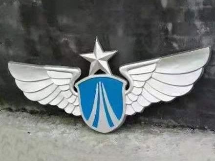 為什么警徽需要具備辨識度-143